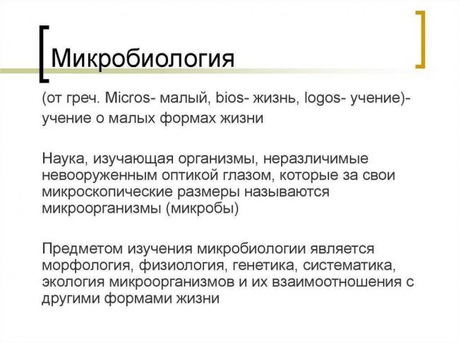 Царство бактерии общая характеристика, кто открыл бактерии, названия и примеры бактерий, чем питаются, как размножаются, запасное вещество бактерий, признаки симбиотических бактерий