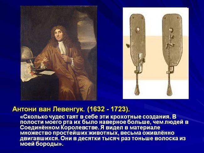 Кто впервые открыл и описал бактерии