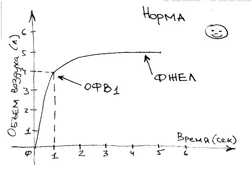 Что такое спирография и спирометрия расшифровка результатов процедуры