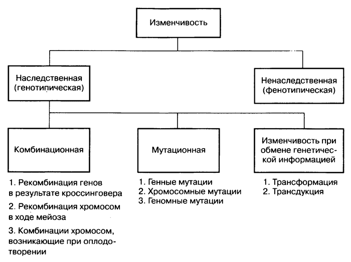Мутации - биология егэ
