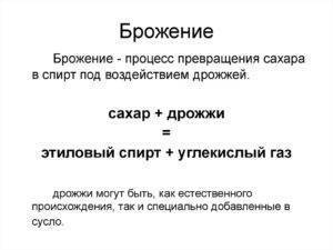 Бактерии: питание, дыхание, ферменты и пигменты. фото