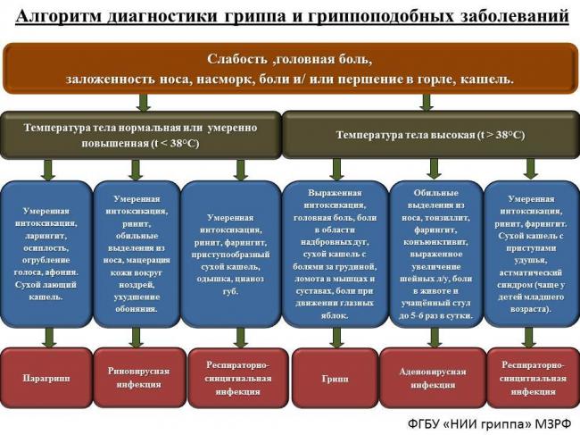 Аденовирусная инфекция у взрослых и детей