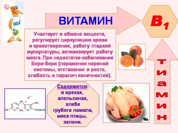 Пантогам сироп для детей: инструкция по применению и для чего он нужен, цена, отзывы, аналоги