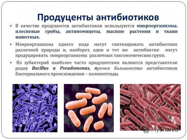 Как наука борется с бактериями, устойчивыми к антибиотикам — российская газета