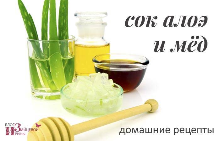 Алоэ с медом – от чего помогает? рецепты, лечебные свойства и противопоказания