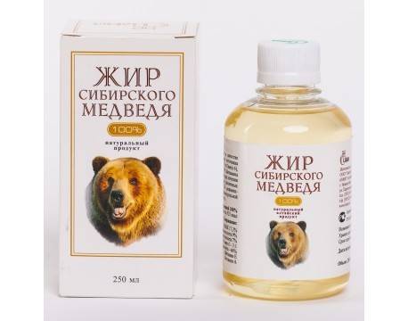 Польза и вред медвежьего жира, отзывы, как принимать