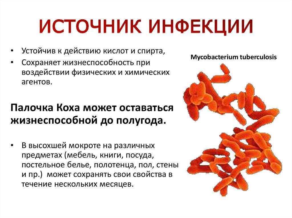 Комплексы упражнений по лфк при туберкулезе легких