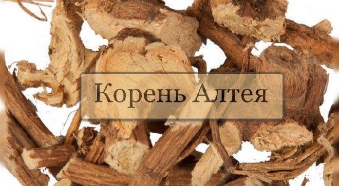 Сильный влажный кашель у ребенка чем лечить