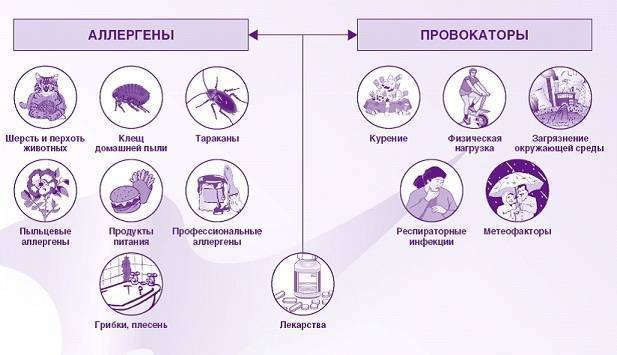 Горчичники — польза и вред для организма при кашле и бронхите, как правильно ставить аппликации детям и взрослым