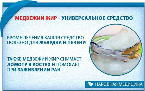 Медвежий жир