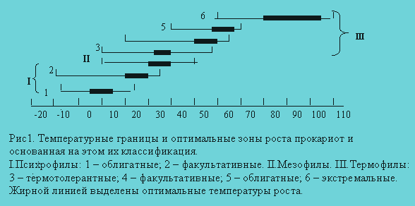 Тинкториальные свойства