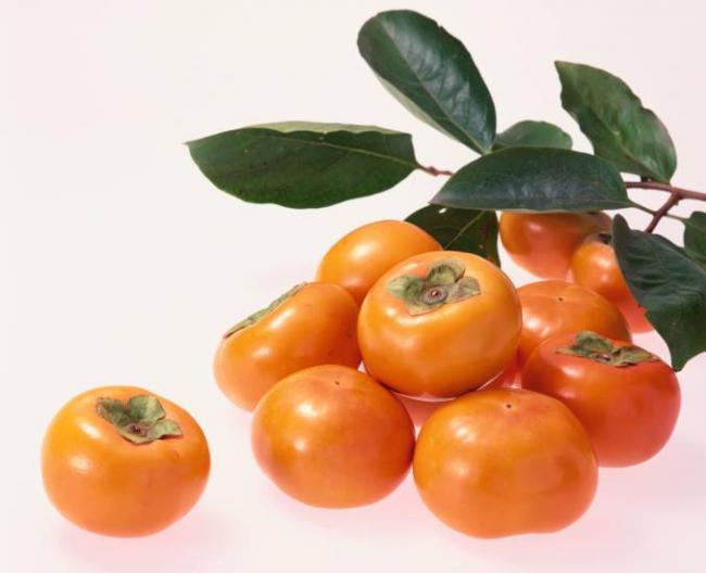 Что можно и нельзя кушать кормящей маме