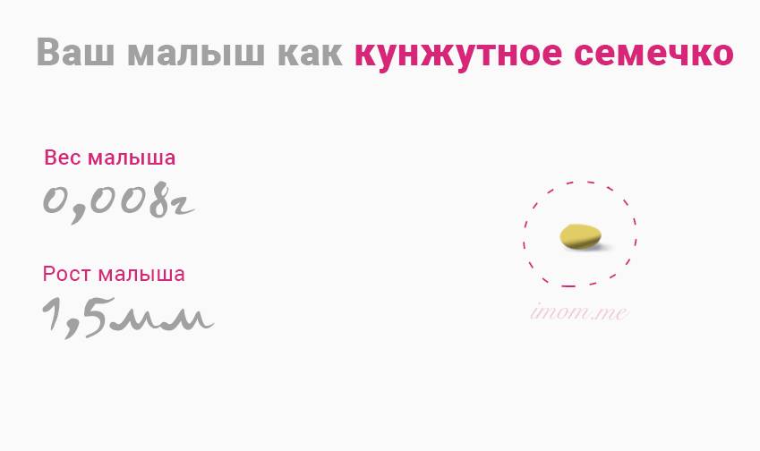 Признаки беременности на ранних сроках