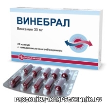 Винкамин
