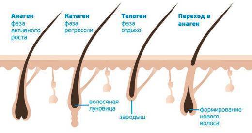Выпадение ресниц