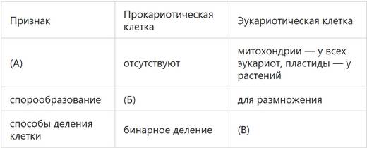 Особенности представителей царства бактерий