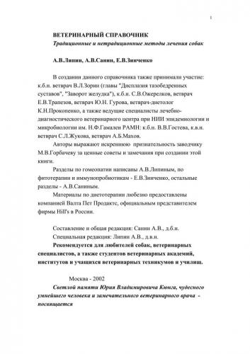 Значение бактерий в кишечнике человека