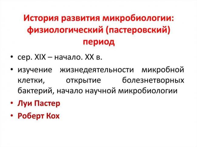 Царство бактерии общая характеристика, кто открыл бактерии, названия и примеры бактерий, чем питаются, как размножаются, запасное вещество бактерий, признаки симбиотических бактерий