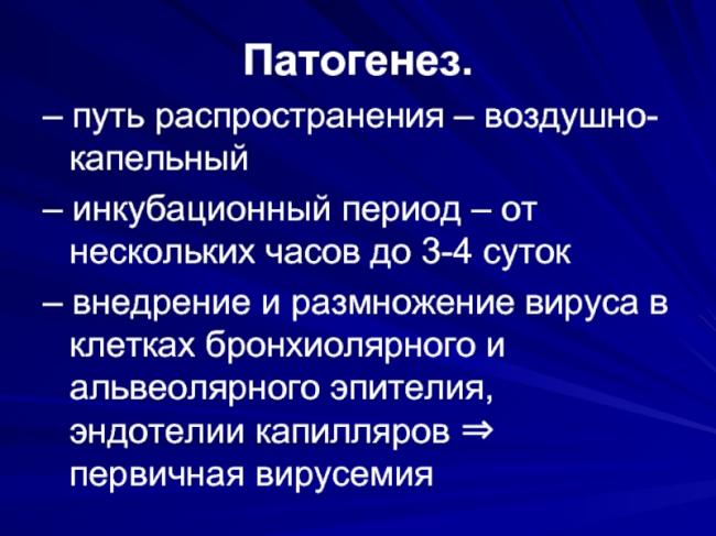 Как размножаются вирусы: особенности и этапы