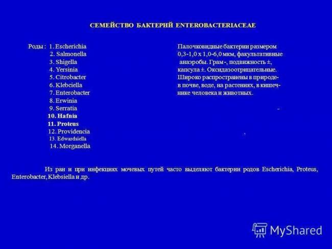 Офс.1.2.4.0002.15 микробиологическая чистота