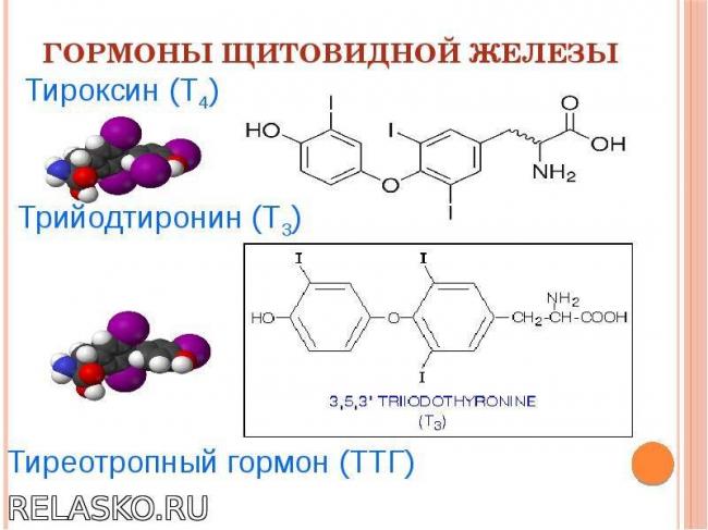 Множественная миелома