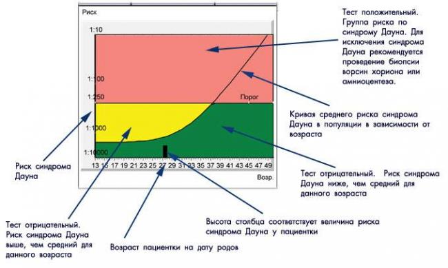 Биохимический скрининг беременных