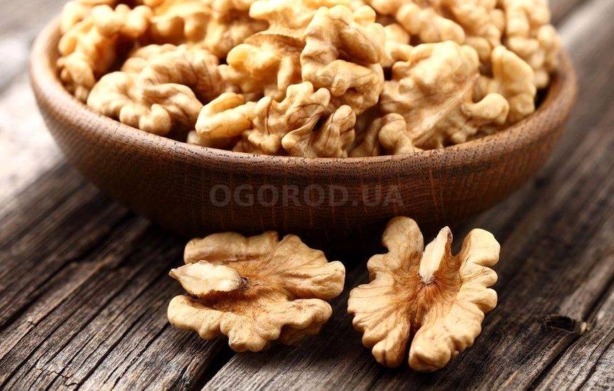 Что будет, если переесть много грецких орехов