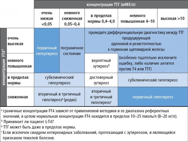 Особенности питания при гипертиреозе щитовидной железы