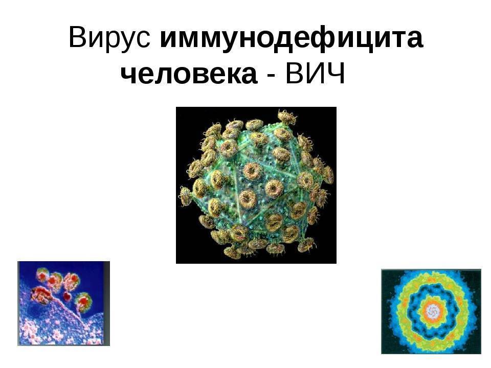 Частые вопросы о вирусах
