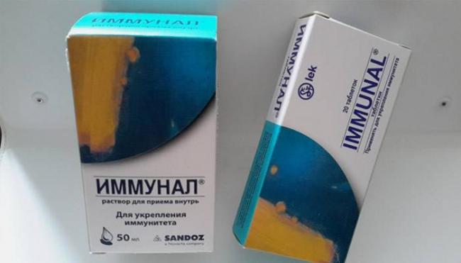 Эхинацея - инструкция по применению, аналоги, отзывы и формы выпуска настойка или экстракт, композитум, капли, трава лекарства для лечения и профилактики гриппа и орви и укрепления иммунитета у взрослых, детей и при беременности