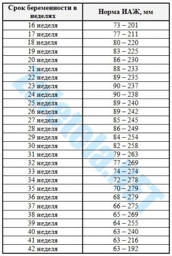 Скрининг второго триместра – расшифровка, нормы и отклонения