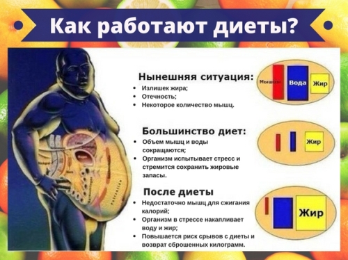 Эффективные диеты на месяц для похудения: обзор лучших методик