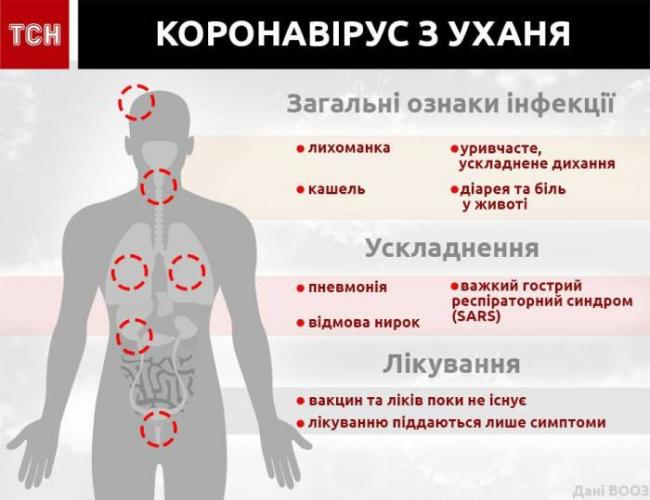Чем бронхит отличается от пневмонии