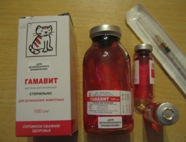 Тетравит для собак инструкция