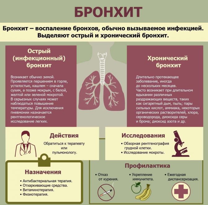 Как лечить бронхит у взрослых