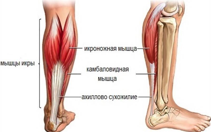 После высокой температуры у ребенка начали болеть ноги – почему так происходит?