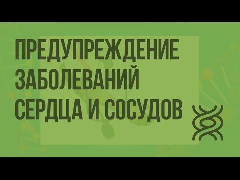 Движение крови по сосудам