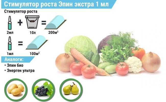 Инструкция по применению эпина экстра для выращивания рассады