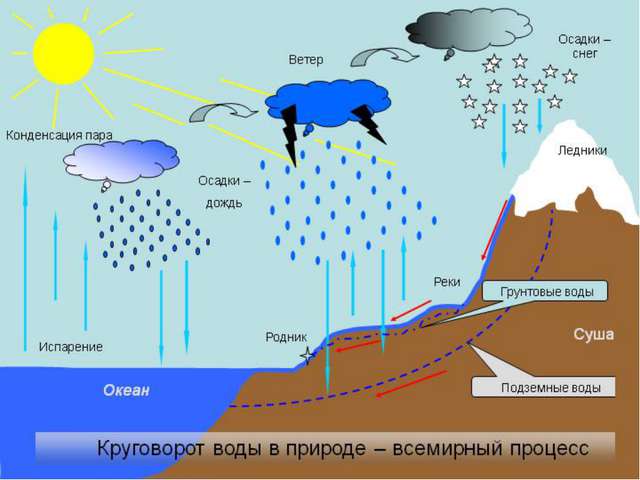 Распространение микроорганизмов в природе