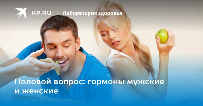 На выработку женских половых гормонов влияют. характеристика и функции женских гормонов