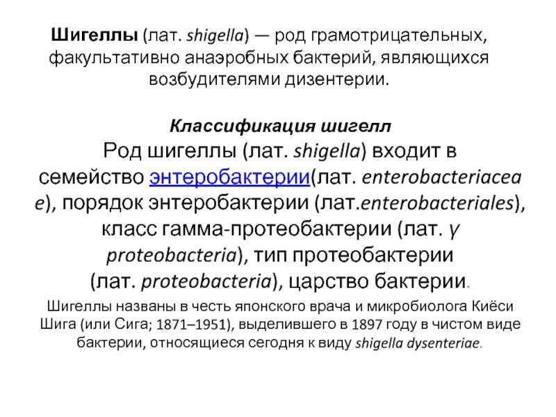 Раскрываем секрет, в каких продуктах содержатся пробиотики