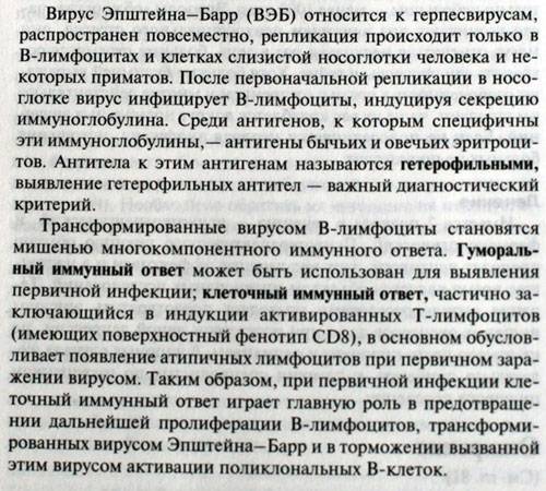 Вирус эпштейна-барр