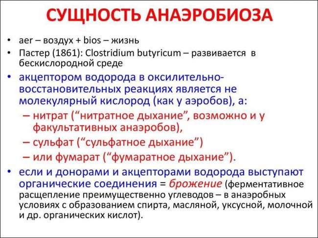 Клостридия, clostridium, клостридиоз: характеристика, анализы, лечение