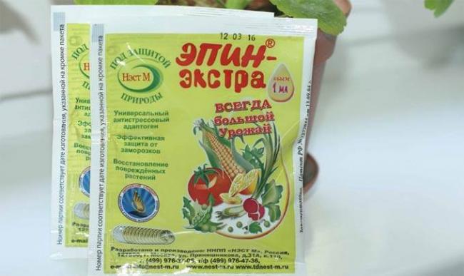 Инструкция по применению эпина экстра для выращивания рассады