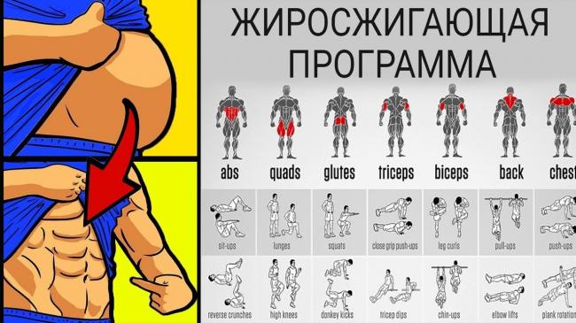 Программы питания в бодибилдинге: меню бодибилдера на каждый день мужчине для тренажерного зала