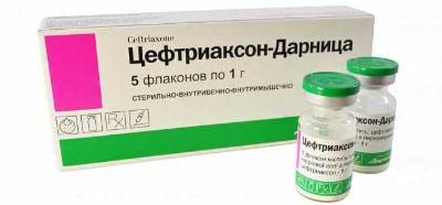 Укол собаке внутримышечно, подкожно, в холку, как сделать, куда колоть