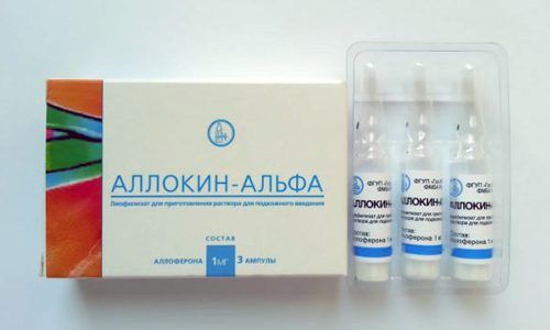Инструкция