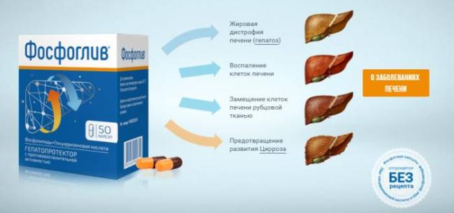 Фосфоглив форте