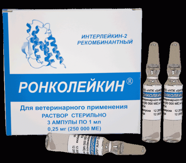 Ронколейкин для кошек – назначение, инструкция, отзывы