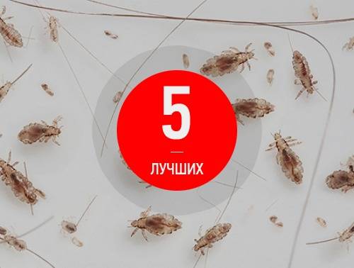 Медифокс – инструкция, применение от вшей, отзывы, цена, аналоги
